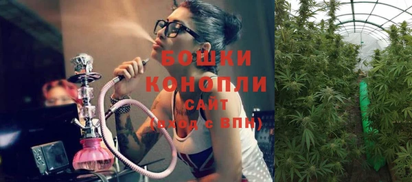 прущий лед Вязьма
