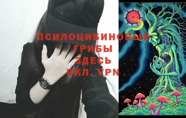 прущий лед Вязьма